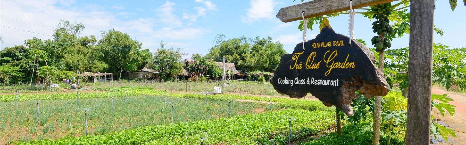 Begin your group activity day with Hoi An’s tranquil ambiance